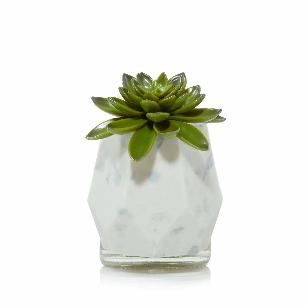 Faceted Succulent ScentPlug® Diffuser with Light